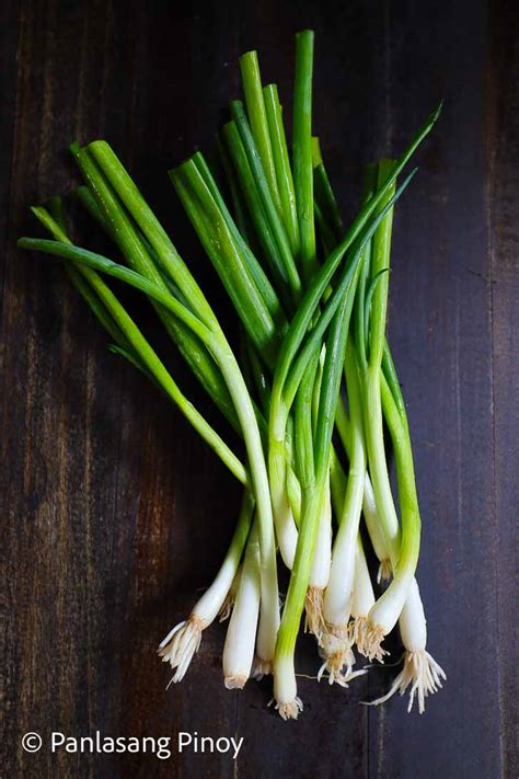 Green onion is sibuyas tagalog